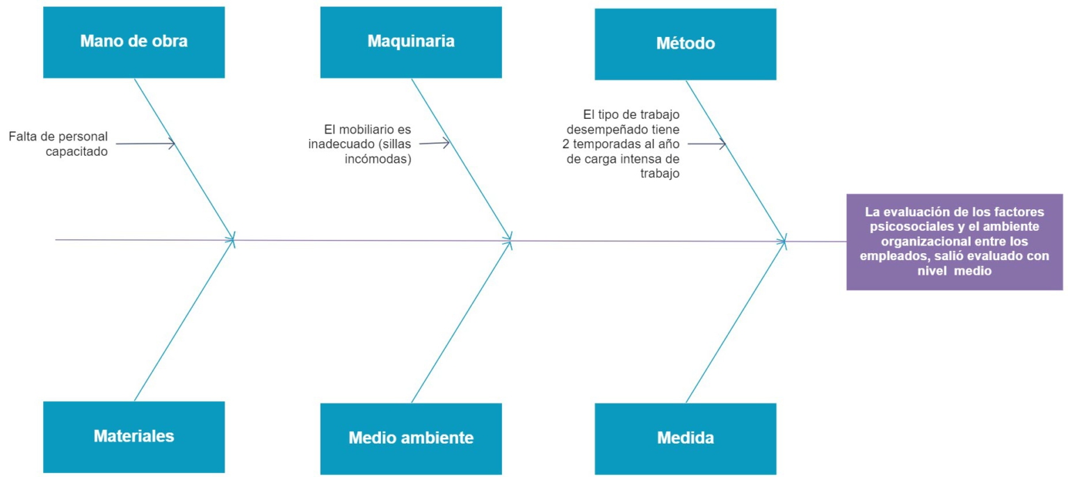 Diagrama de pescado para la atención de No conformidades Softgrade